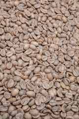 full lot of arabica coffee beans