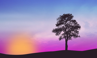 Fototapeta na wymiar A lone tree on beautiful sunset