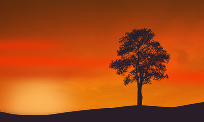 Naklejka na ściany i meble A lone tree on beautiful sunset