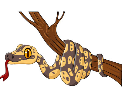 Cartoon snake on a tree branch