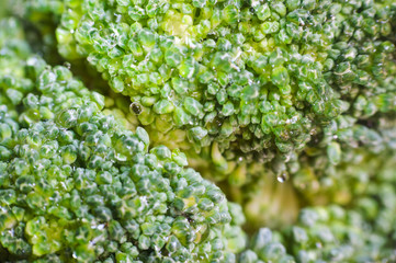 Green broccoli macro texture