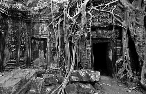 Ancient stone door and Silk cotton tree roots, Ta Prohm temple ruins, Angkor, Cambodia. Black & white