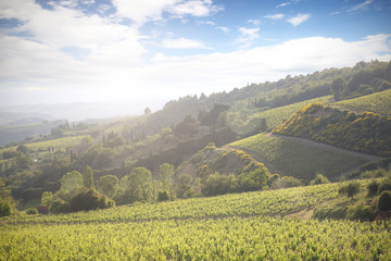 Obraz premium landscape 
