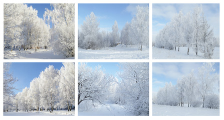 Collage from winter landscapes