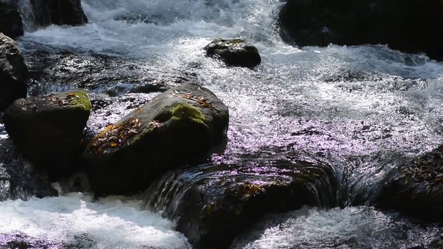 岩の間を縫って流れる菊池渓谷の清流