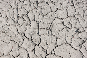 Dry land in the cracks
