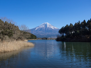 Obraz premium 田貫湖と美しい富士山