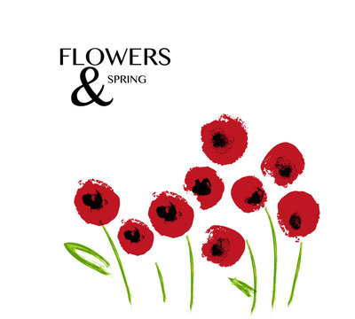 Hand drawn illustration of abstract watercolor poppy flowers on white backdrop