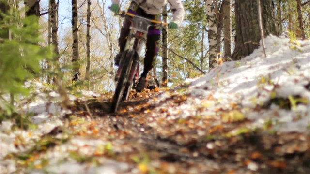 Young male mountain biker riding fast through the leaves in autumn in slow motion. late autumn, a little snow, a beautiful backlight, professional athletes Red Bull