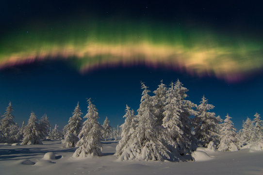 Winter night landscape with forest, road and polar light over the forest 
