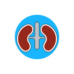 icon kidneys
