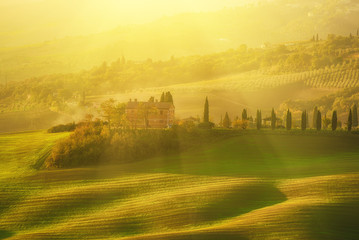Wavy fields in Tuscany at sunrise, Italy. Natural outdoor seasonal sunny spring background.