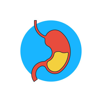 icon stomach
