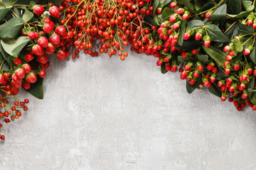 Hypericum, rosa canina and rowan berry on grey stone