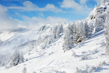Fototapeta na wymiar Beautiful winter landscape in the mountains
