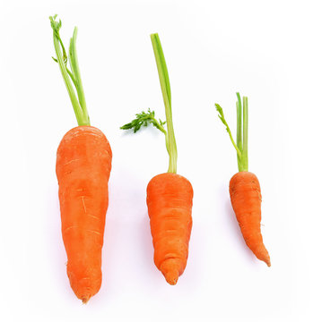 Baby carrot fresh isolated on white background