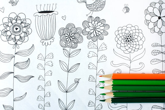 colorer - antistress with colored pencils.Nobody