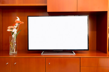 flat screen television