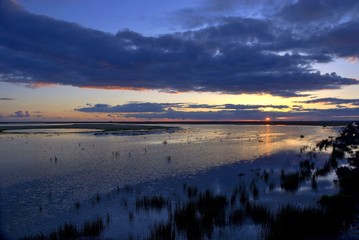 Parque Nacional de Doñana (Spain)