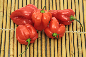 piments 02022016