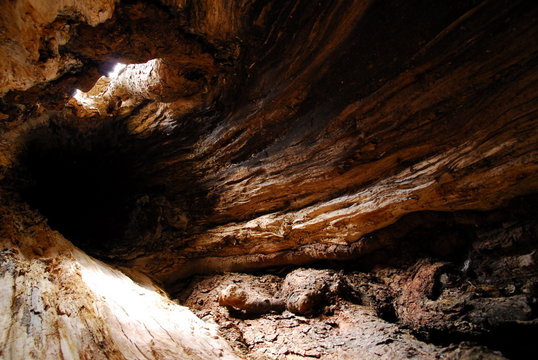 Aceri e faggi parco nazionale abruzzo lazio molise