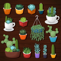 Colorful vector cactus and succulent set. 