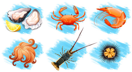 Different type of seafood