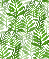 Seamless texture with plants and ferns. Vector background 