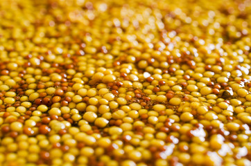 Background of seeds of mustard