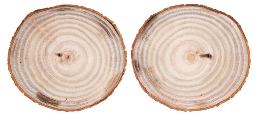 Obraz premium Round cut wood background