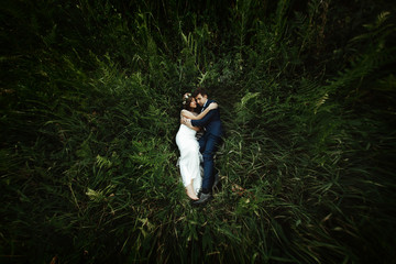 luxury happy bride and stylish groom lying on grass under sunny