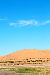 Fototapeta na wymiar sunshine in the desert of morocco sand and