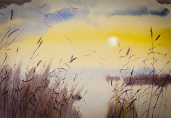 sunset and reeds