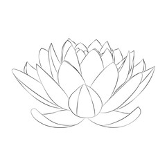 Lotus flower vector on white, fiore di loto in bianco e nero vettoriale su sfondo bianco - obrazy, fototapety, plakaty