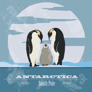 Antarctica. South Pole. Retro styled image