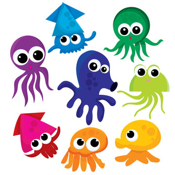 Squid family