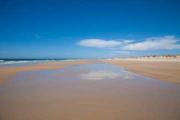 Fototapeta na wymiar Palmar Beach seashore