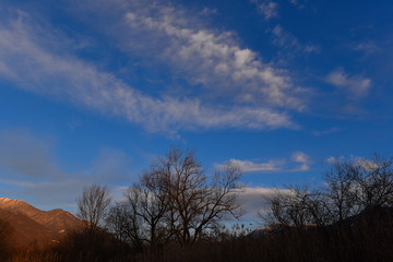 Fototapeta na wymiar Cielo con nuvole bianche sopra palude