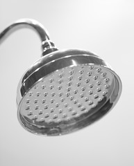shower head closeup