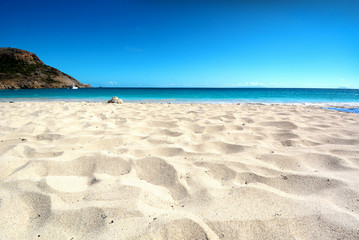 Caribbean beach, Saint Barthelemy island - 101725732
