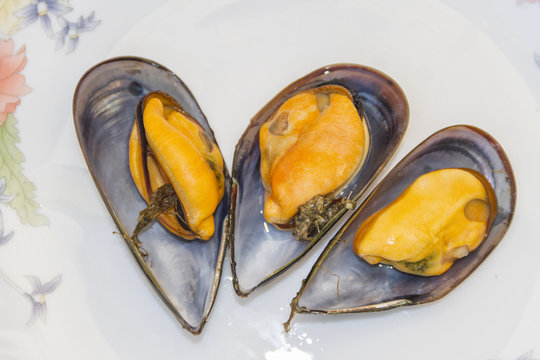 Mejiollones cocidos