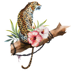 Fototapeta na wymiar Watercolor vector leopard