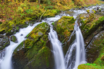 Sol Duc waterfall in Rain Forest