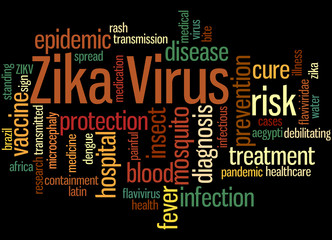 Zika Virus, word cloud concept 6