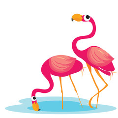 Obraz premium Pink Flamingoes