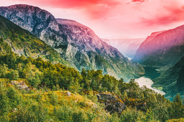 Fototapeta premium Beautiful nature of the Norwegian mountains. Nature of Norway. 