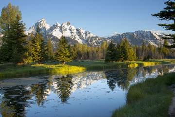 Grand Teton mountains and pond in morning light