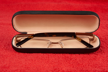 Spectacles in case