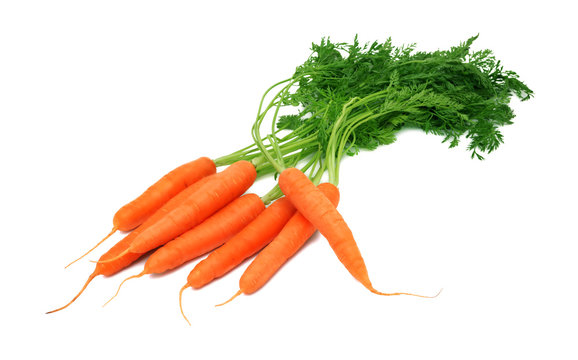 Pile of ripe carrots with green tops (isolated)