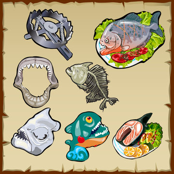 Fish set, traps, jaw and other image of piranha